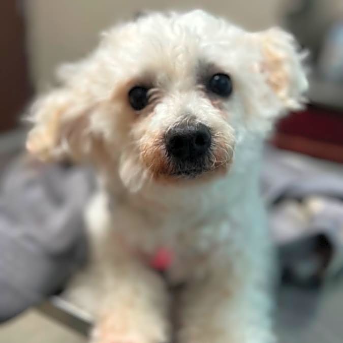 Photo of Max