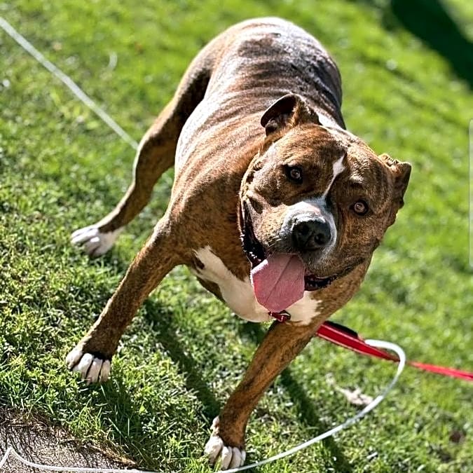 Photo of Bronx