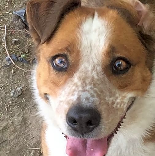 Photo of Hazel