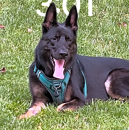Photo of Chief
