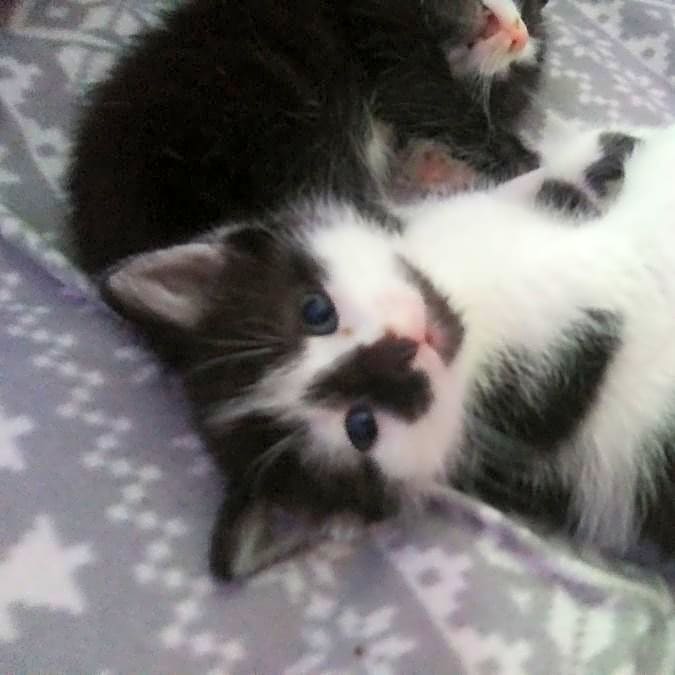 Photo of Zeke
