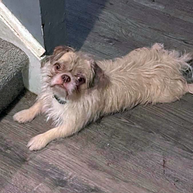 Photo of Monkey