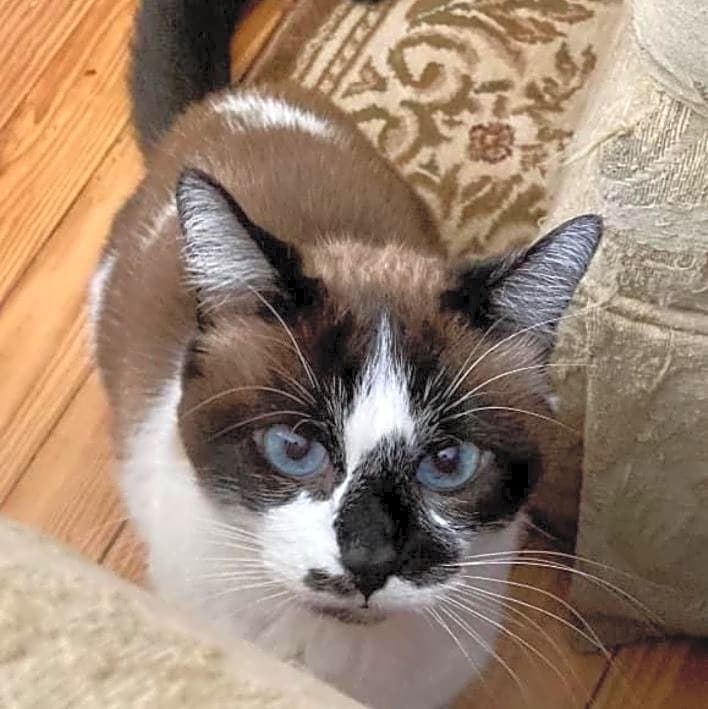 Photo of Kibby