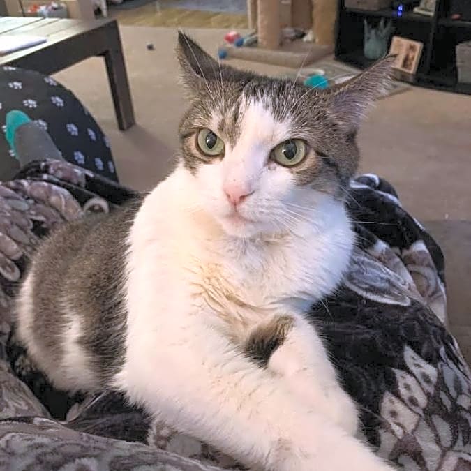 Photo of Gertie