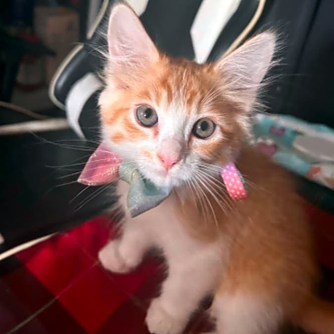 Photo of Bubbles