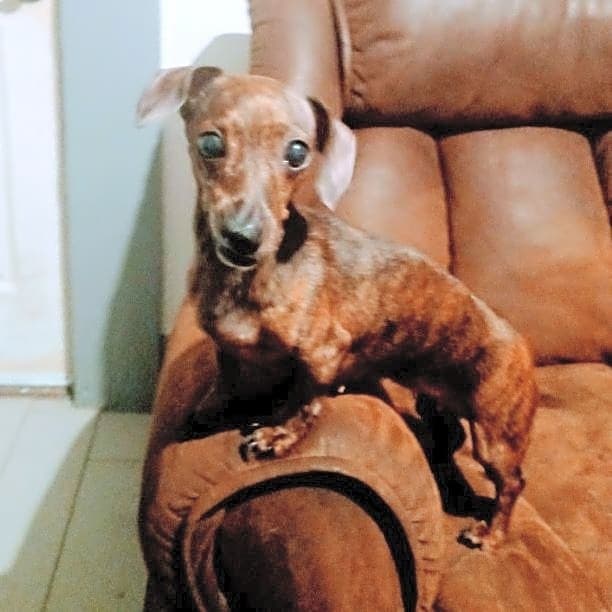 Photo of Little Bit