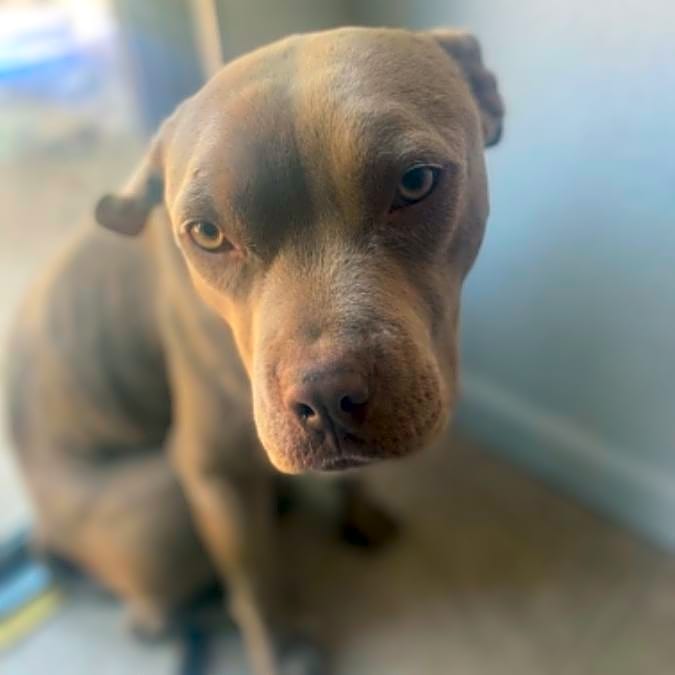 Photo of Zeus