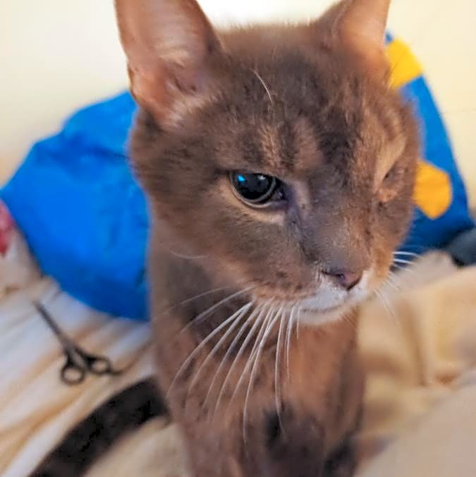 Photo of Benny