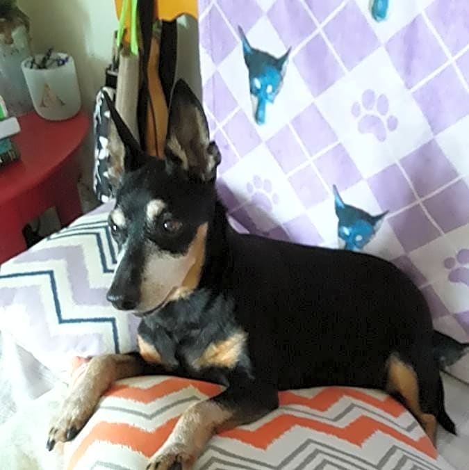 Photo of Abbey