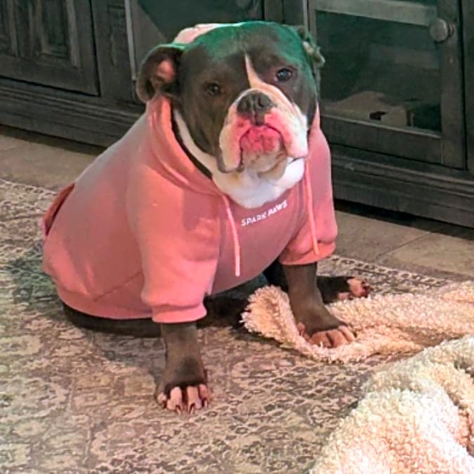 Photo of Lucy