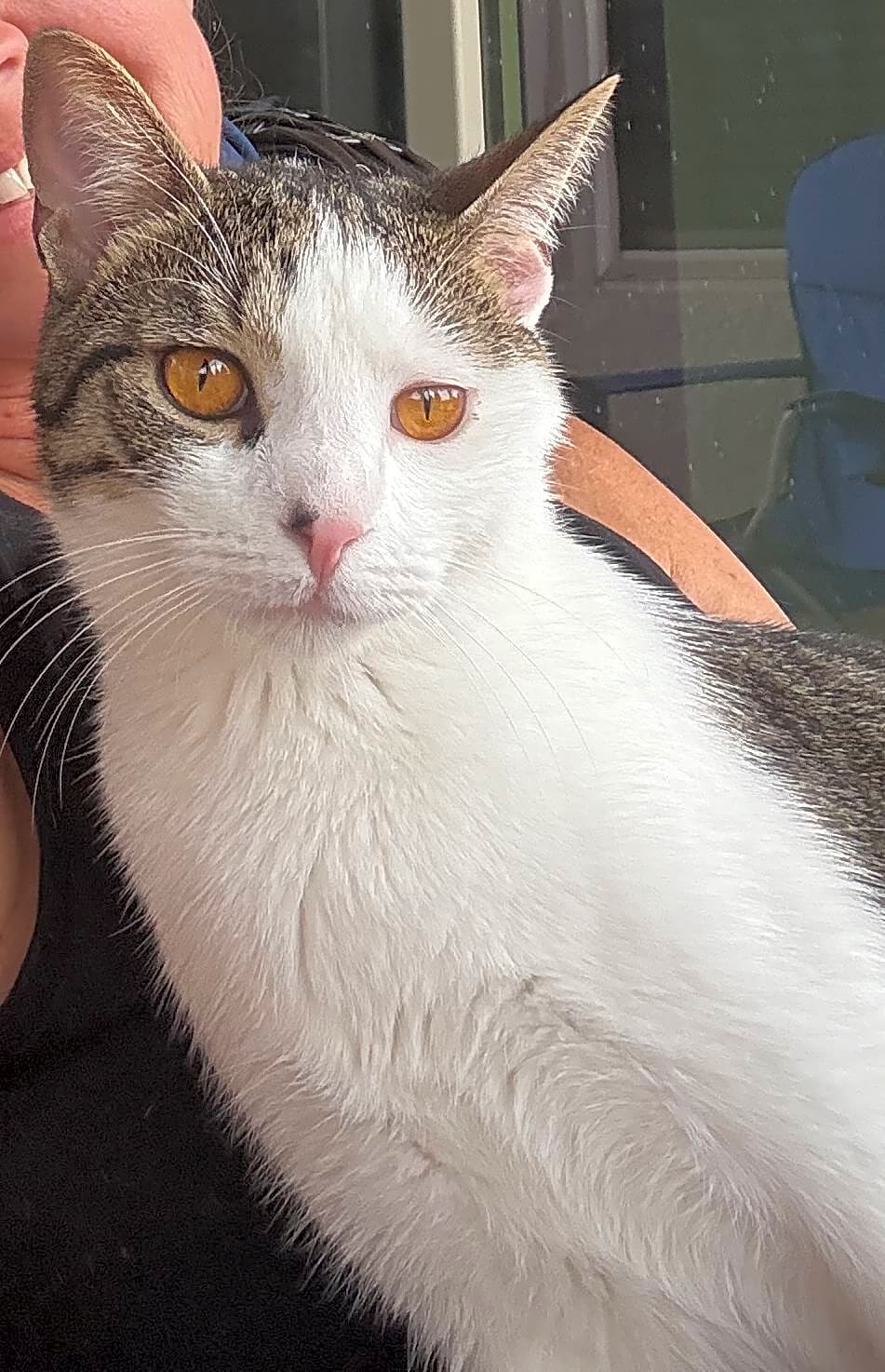 Photo of Oliver