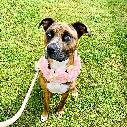 Photo of Arya