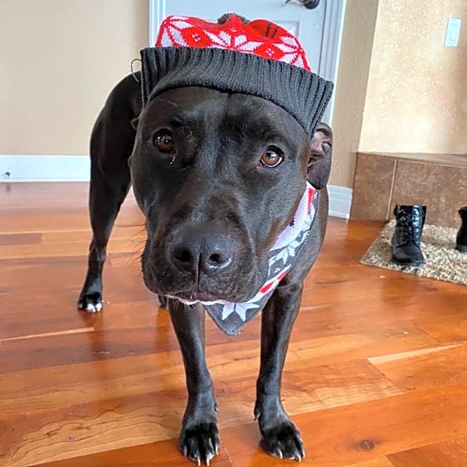 Photo of Ruby