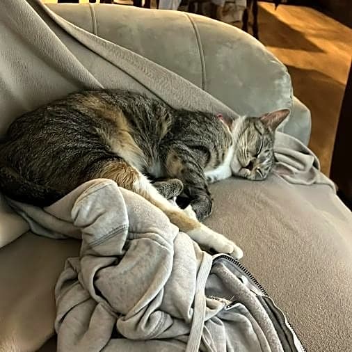 Photo of Rosie