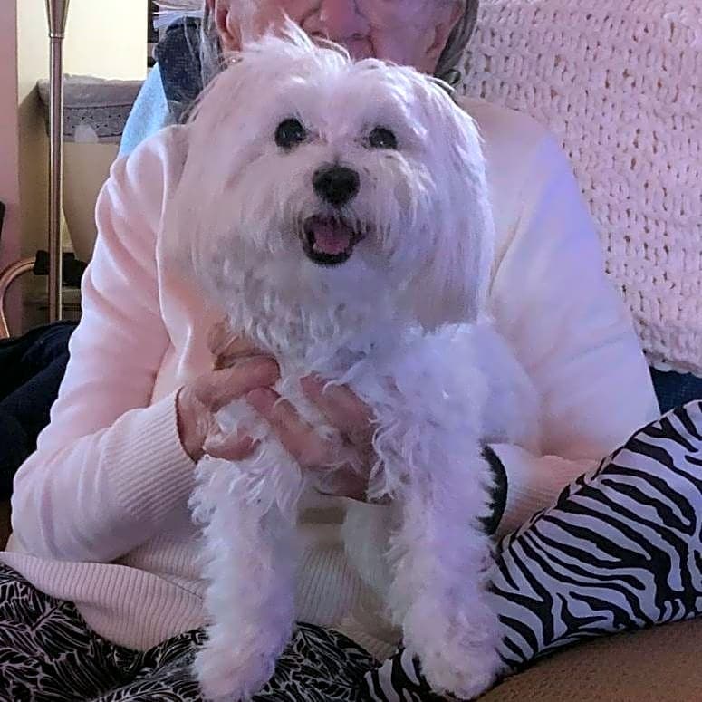 Photo of Max