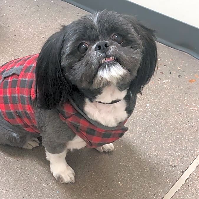 Photo of Snickers