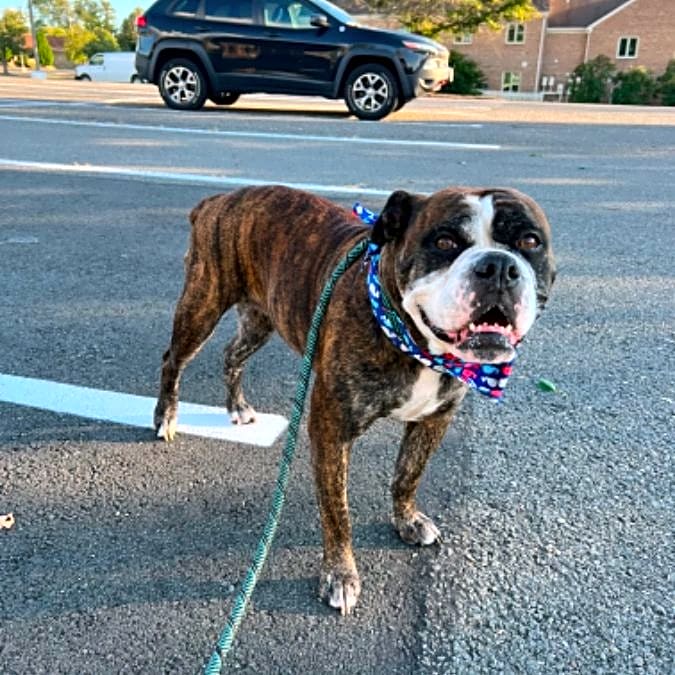 Photo of Lola