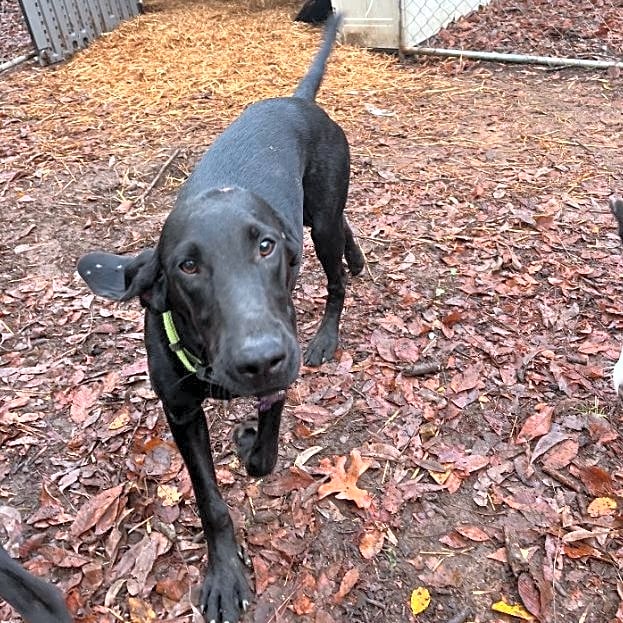 Photo of Sammy