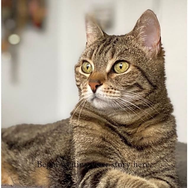 Photo of Harley