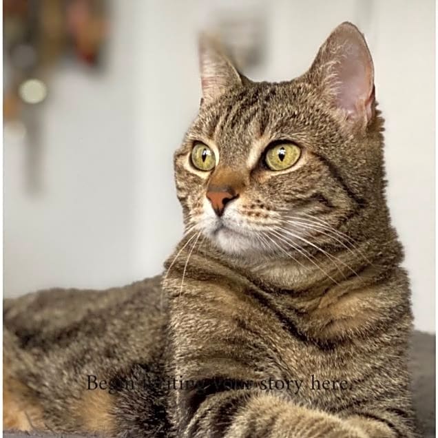 Photo of Harley