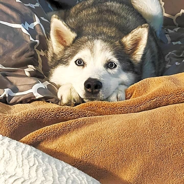 Photo of Kiera