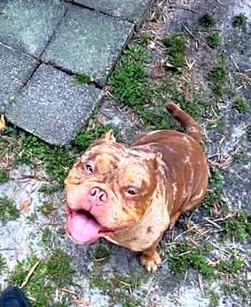 Photo of Mac