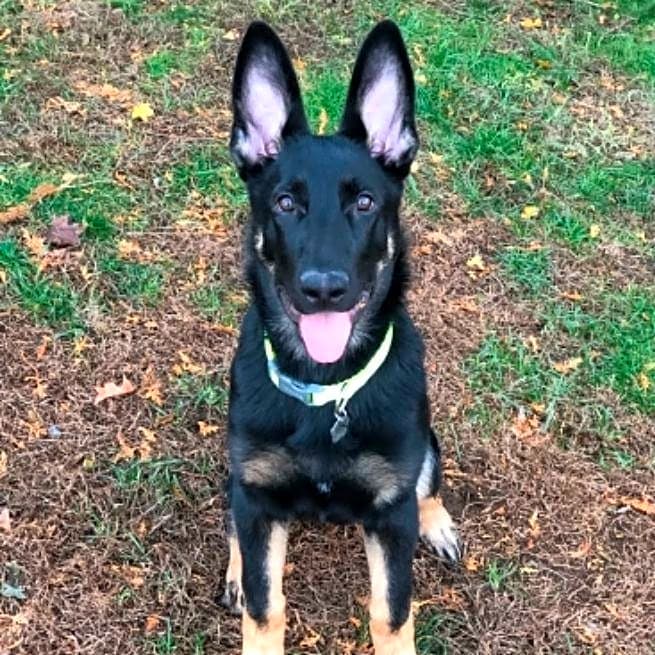 Photo of Zak