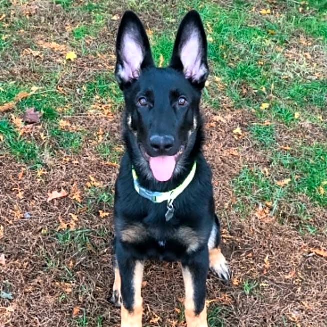 Photo of Zak
