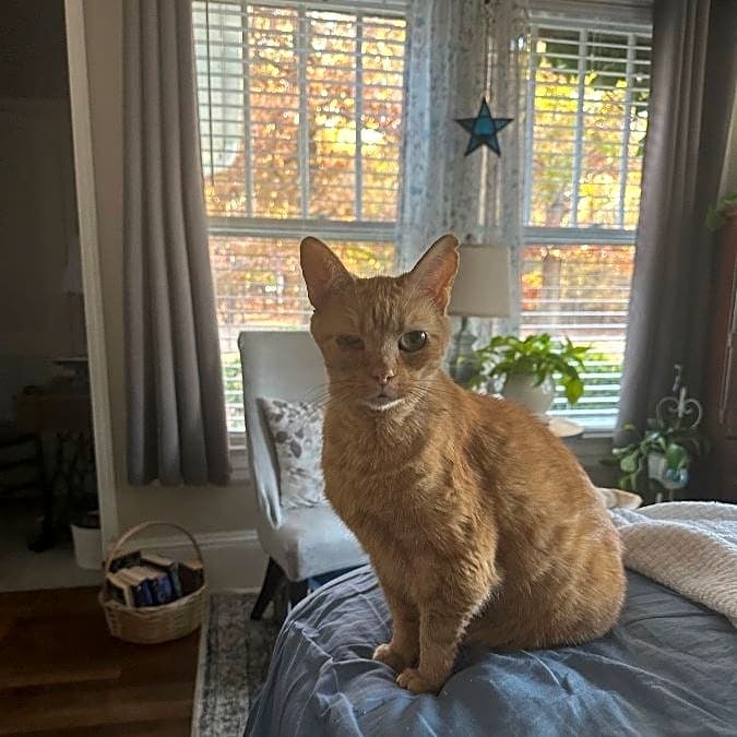 Photo of Buttons