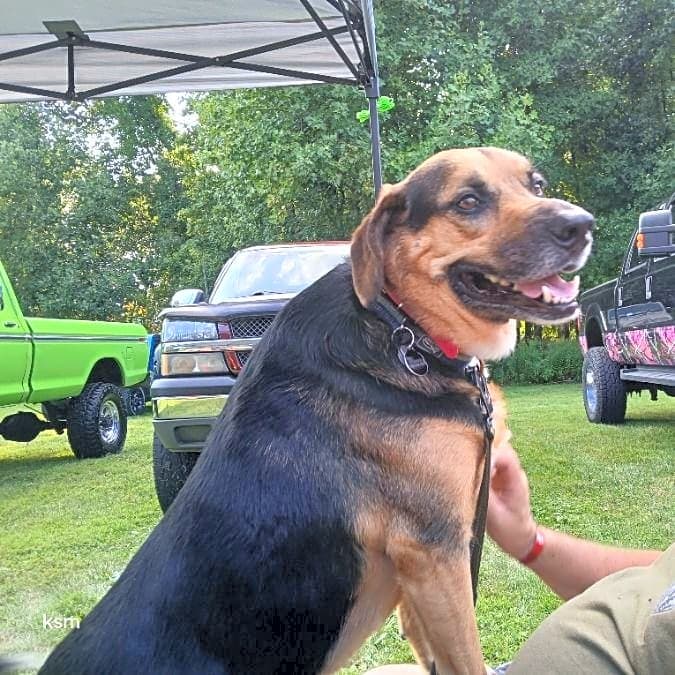 Photo of Gunner