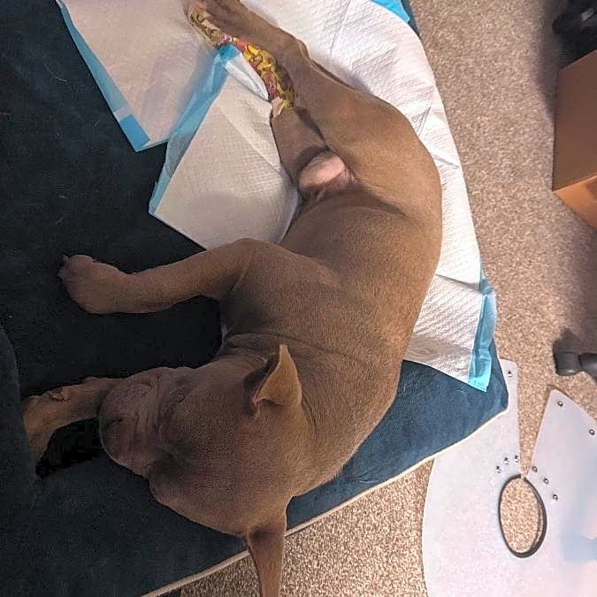 Photo of Zeus