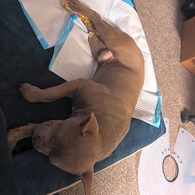 Photo of Zeus