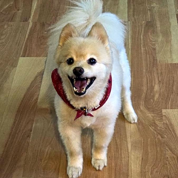 Photo of Eddie