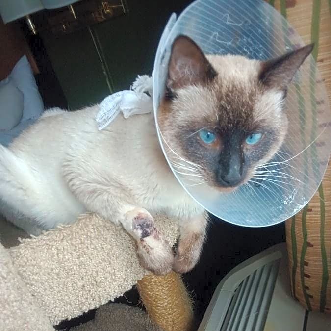 Photo of Kiki