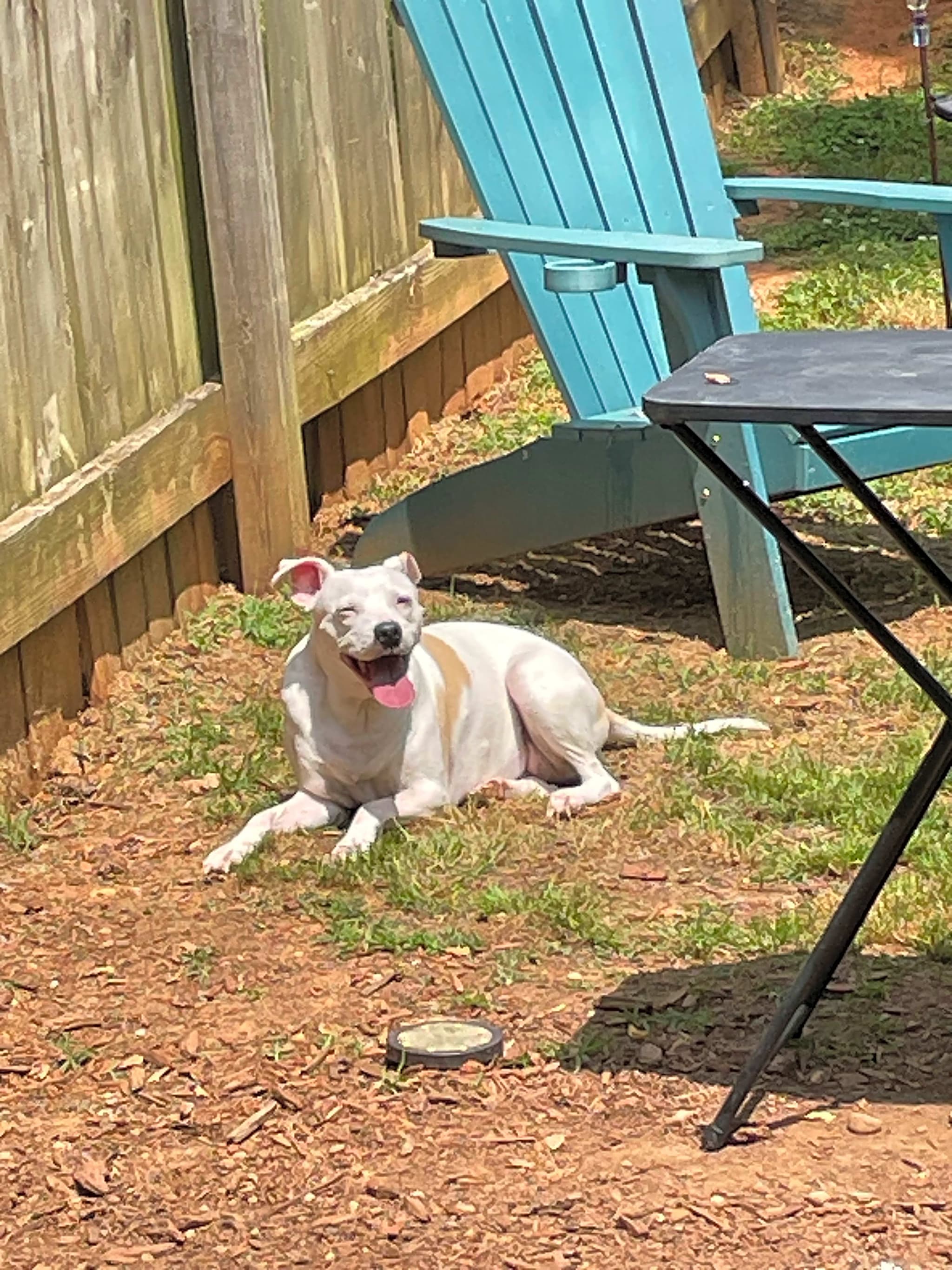Photo of Chloe