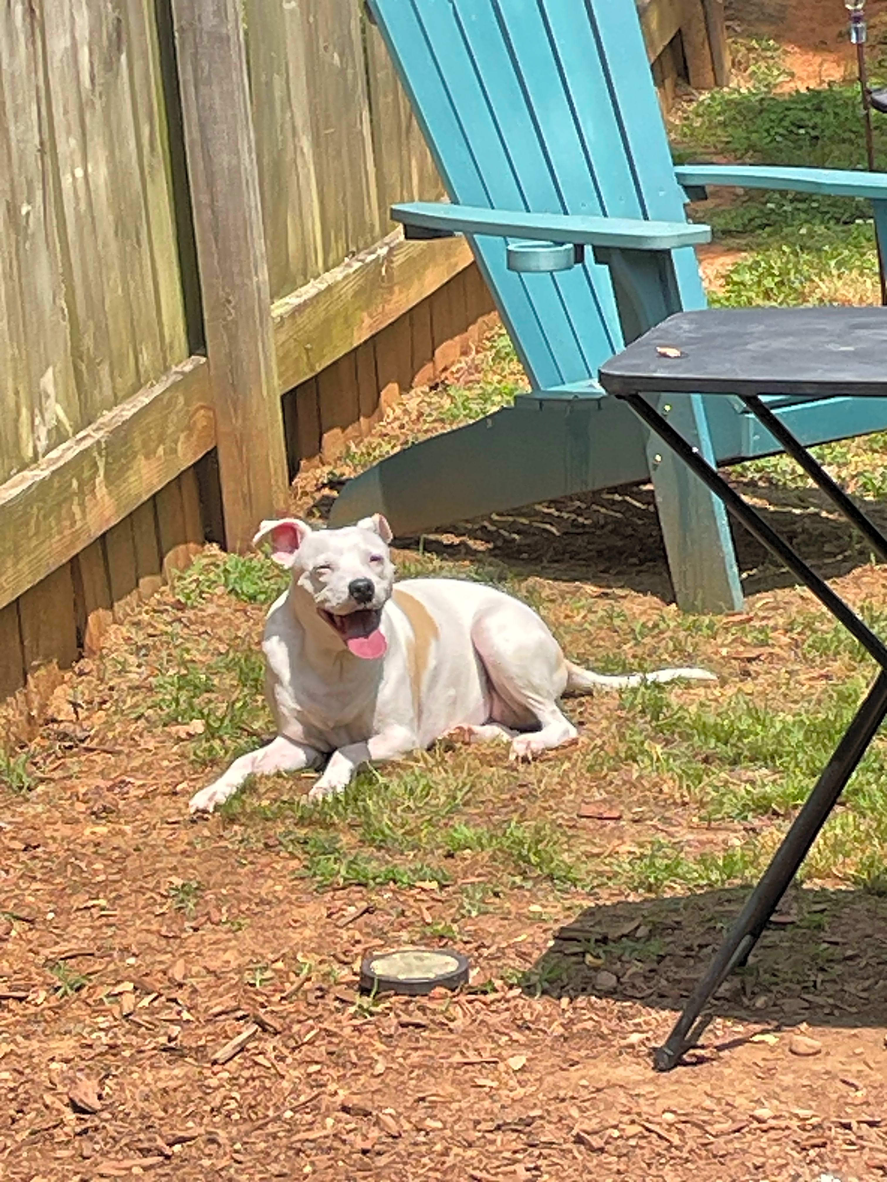 Photo of Chloe