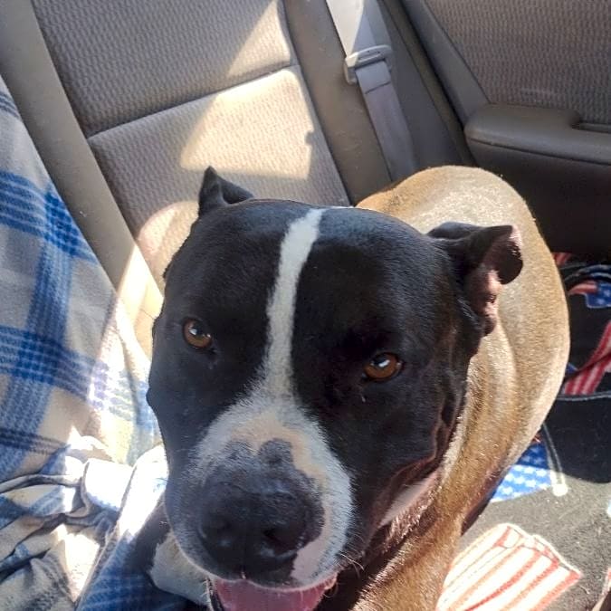 Photo of Tank