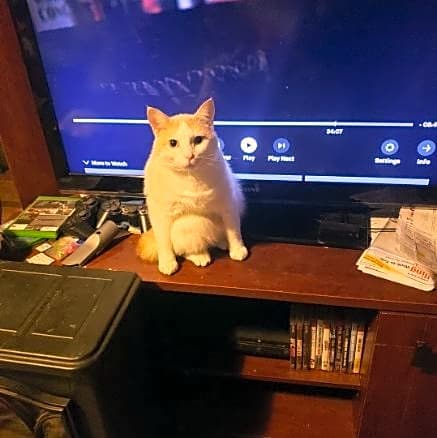 Photo of Squirley