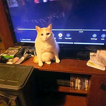 Photo of Squirley