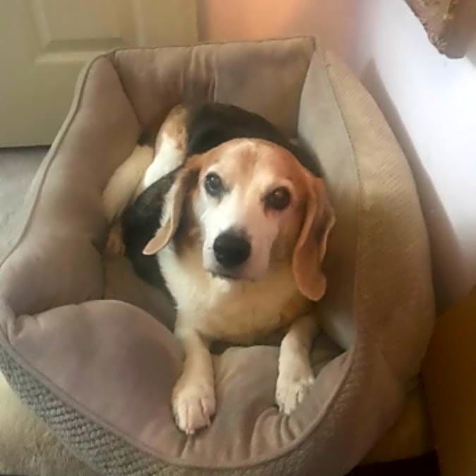 Photo of Max