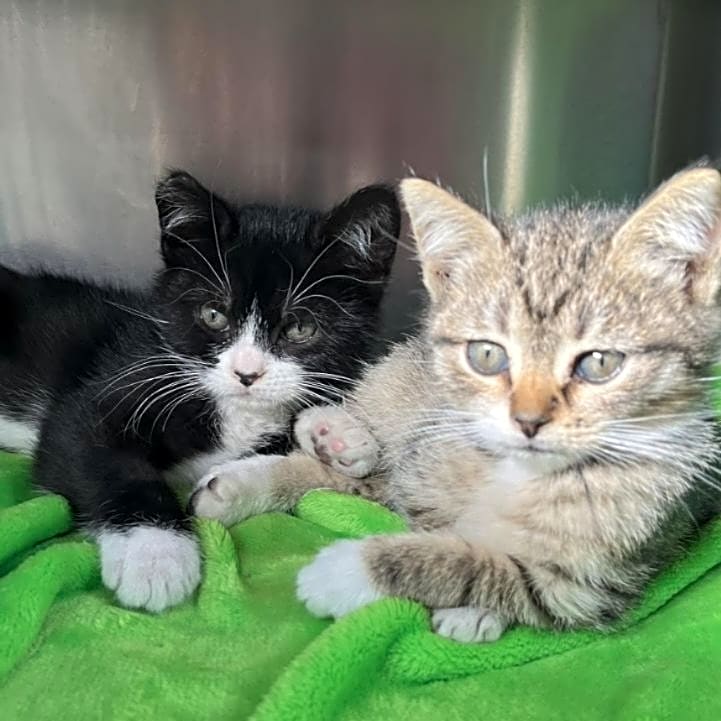 Photo of Temperance and Cordelia