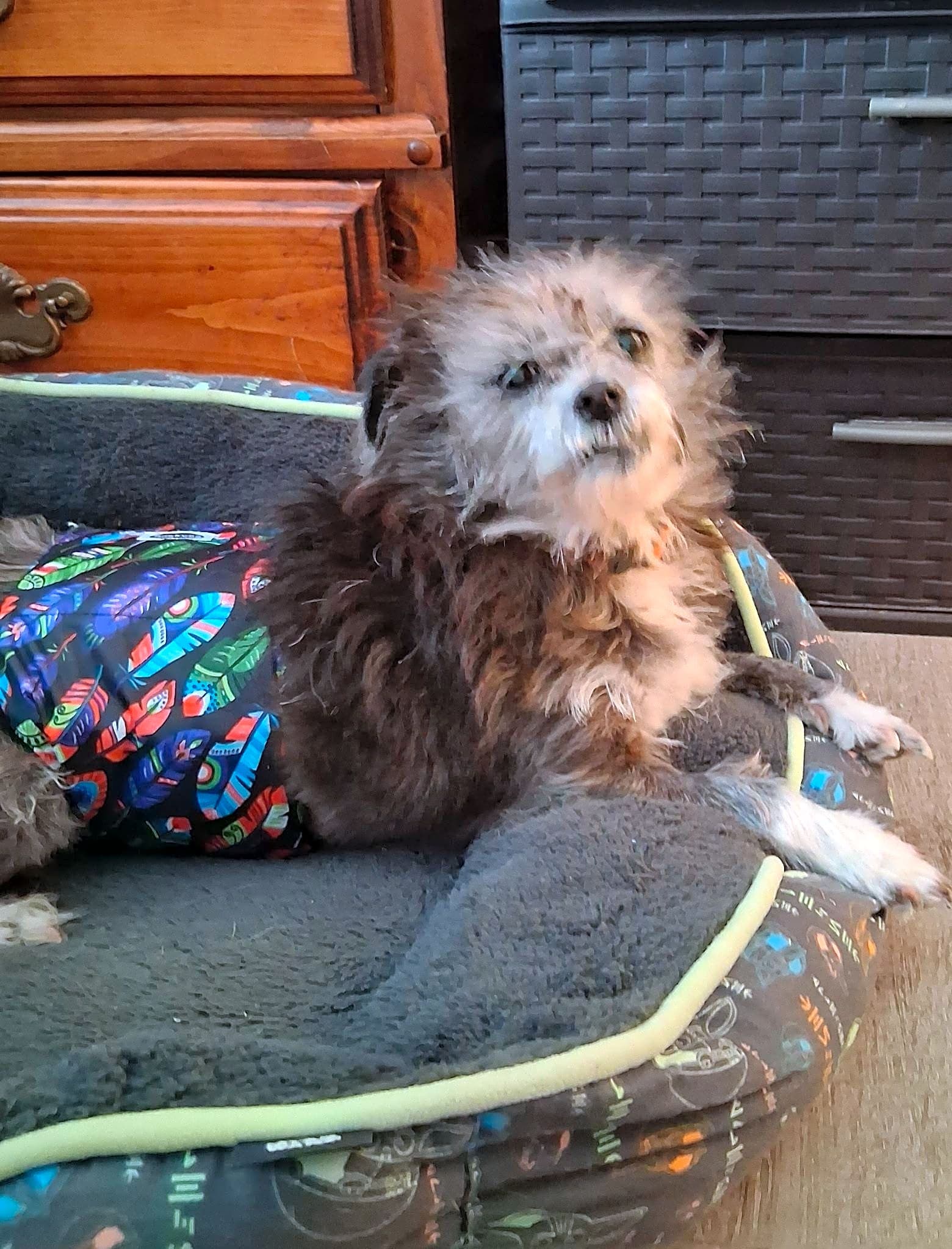 Photo of Max
