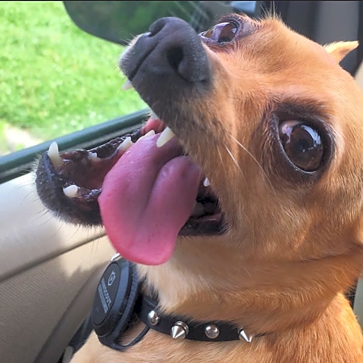 Photo of Wiz Logan