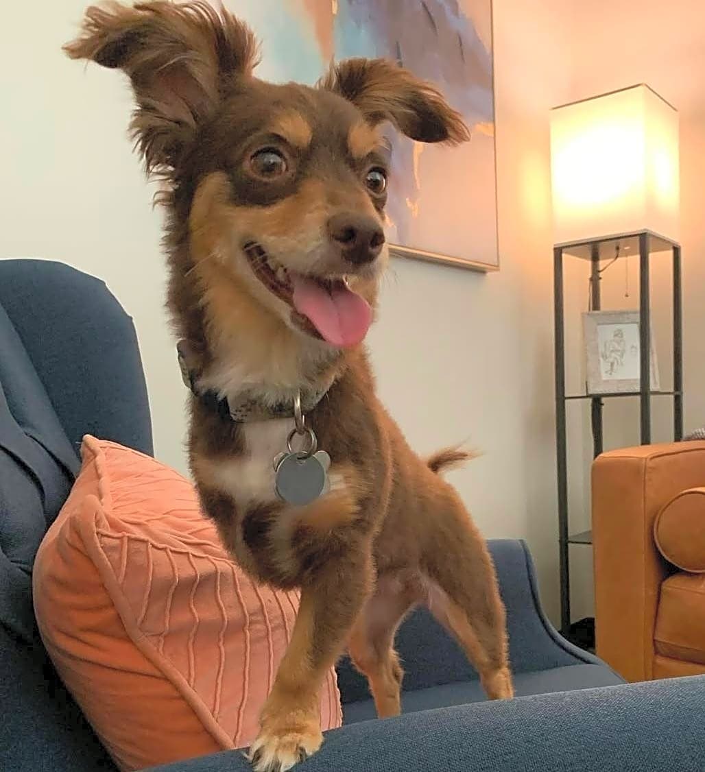 Photo of Maple Leigh