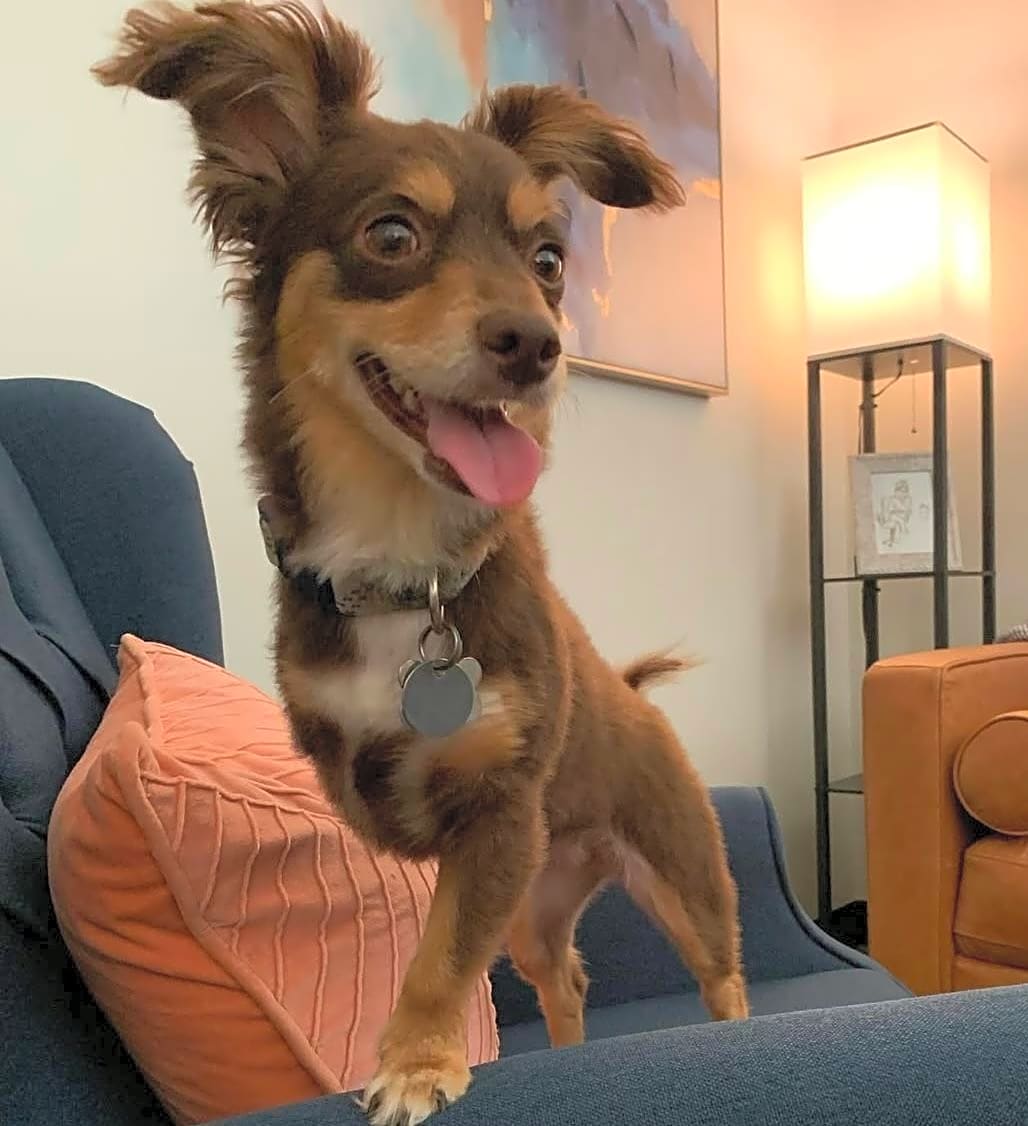 Photo of Maple Leigh