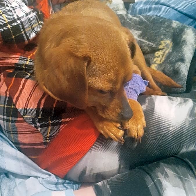 Photo of Lilly