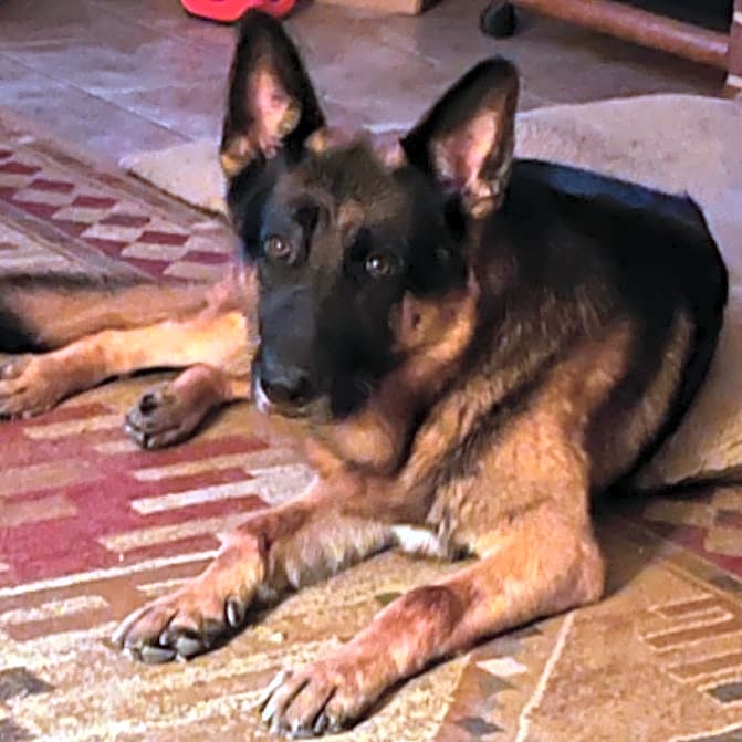Photo of Gunnar
