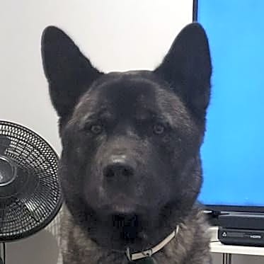 Photo of Bruce
