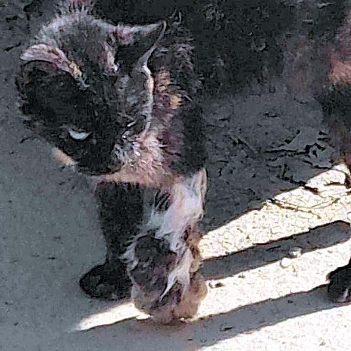 Photo of Olivia
