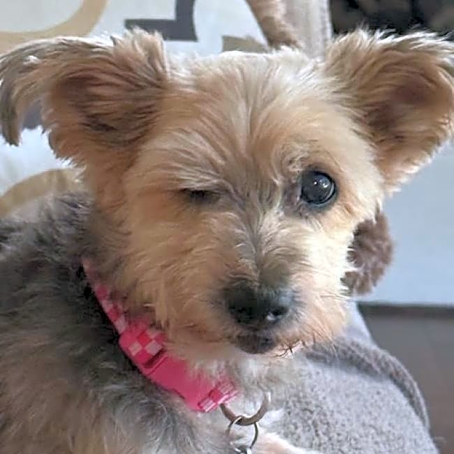 Photo of Prada